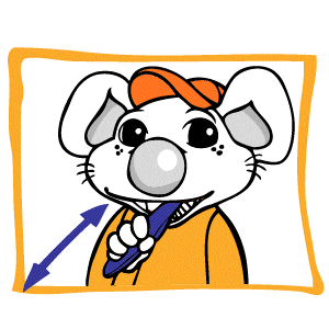 Kauflächen