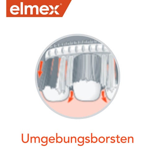 Umgebunsborsten