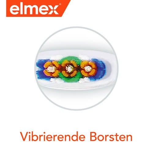 Vibrierenden Borsten