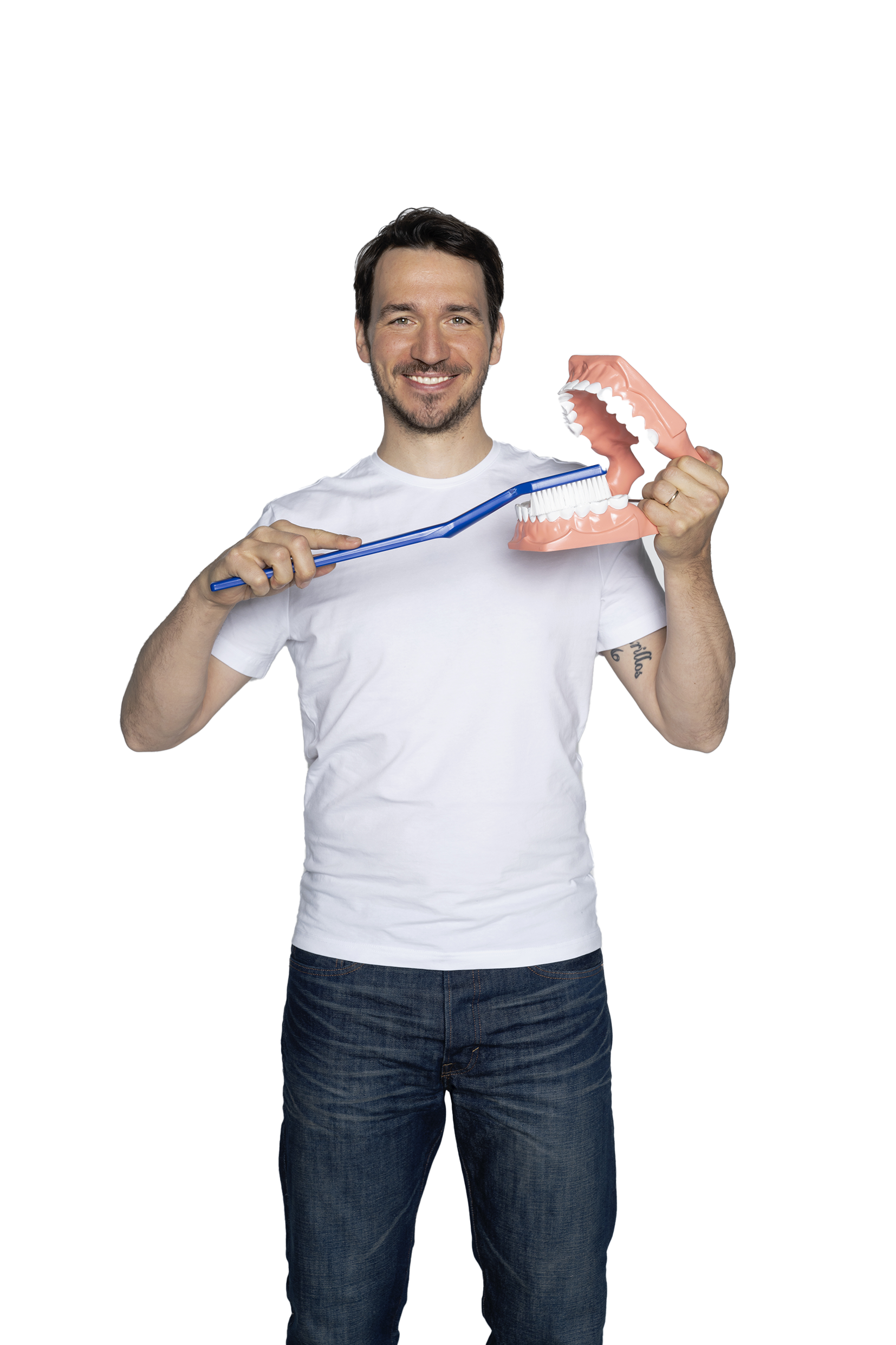 mann mit grosser zahnbuerste putzt ein grosses plastikgebiss