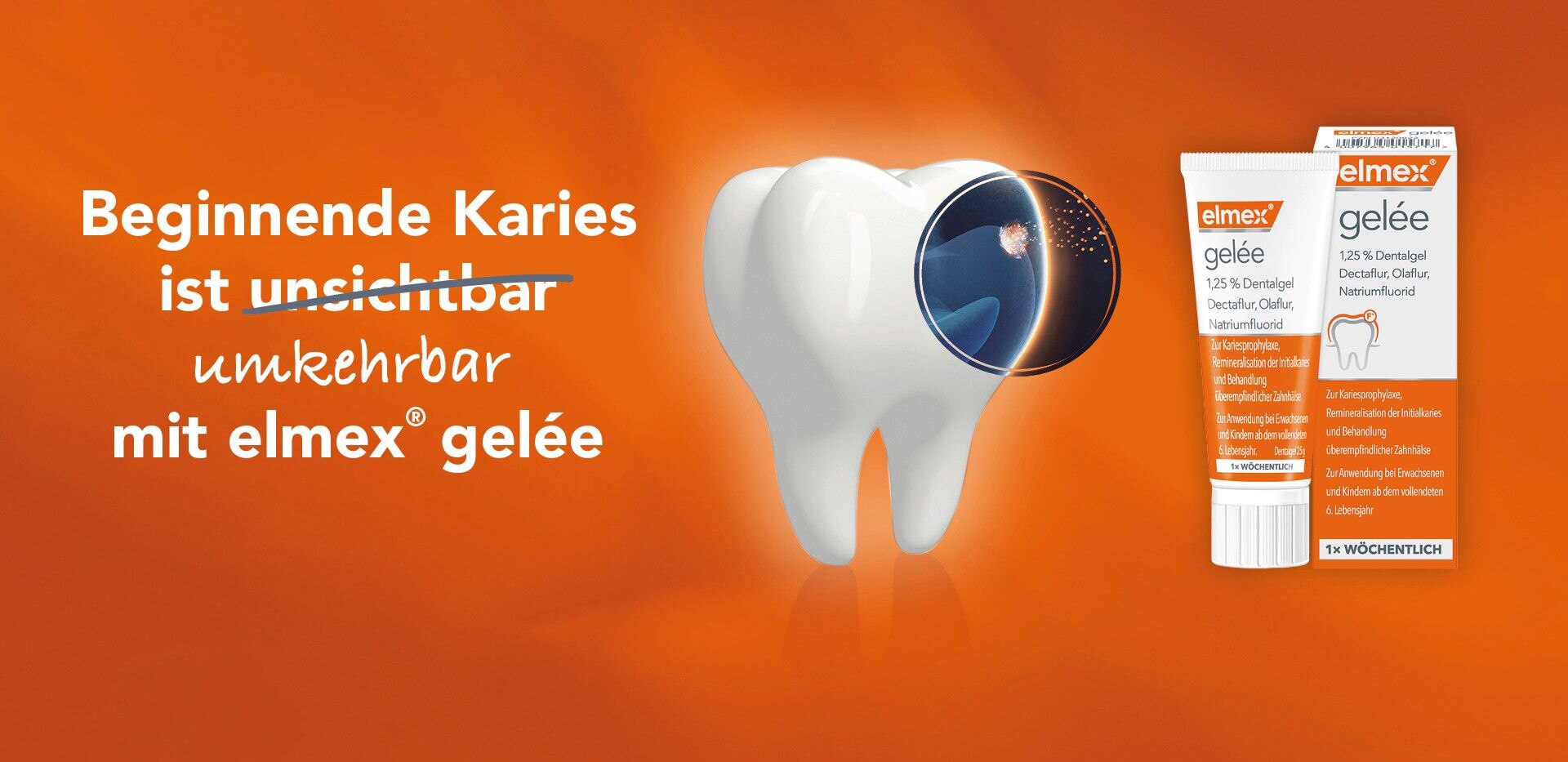 Beginnende Karies ist umkehrbar - mit elmex® gelée