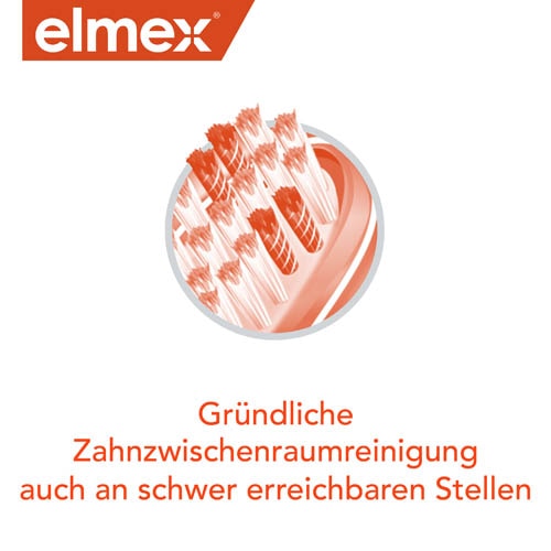 gründliche