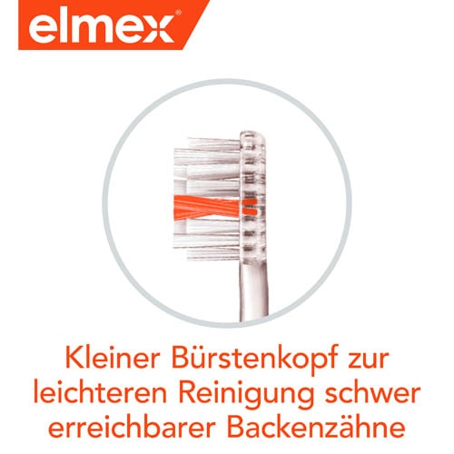 Kleiner Bürstenkopf