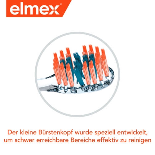 Kleiner Bürstenkopf