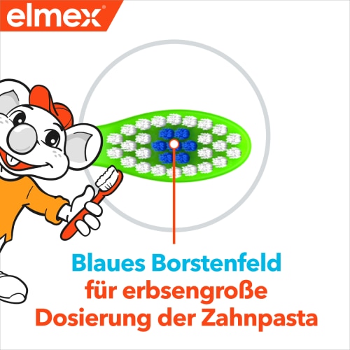 Blaues Borstenfeld