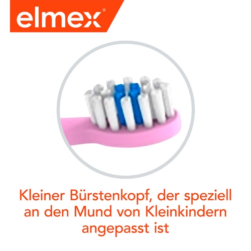 Kleiner Bürstenkopf