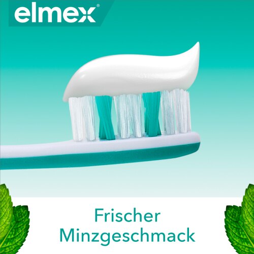 Frischer Min Minzgeschmack